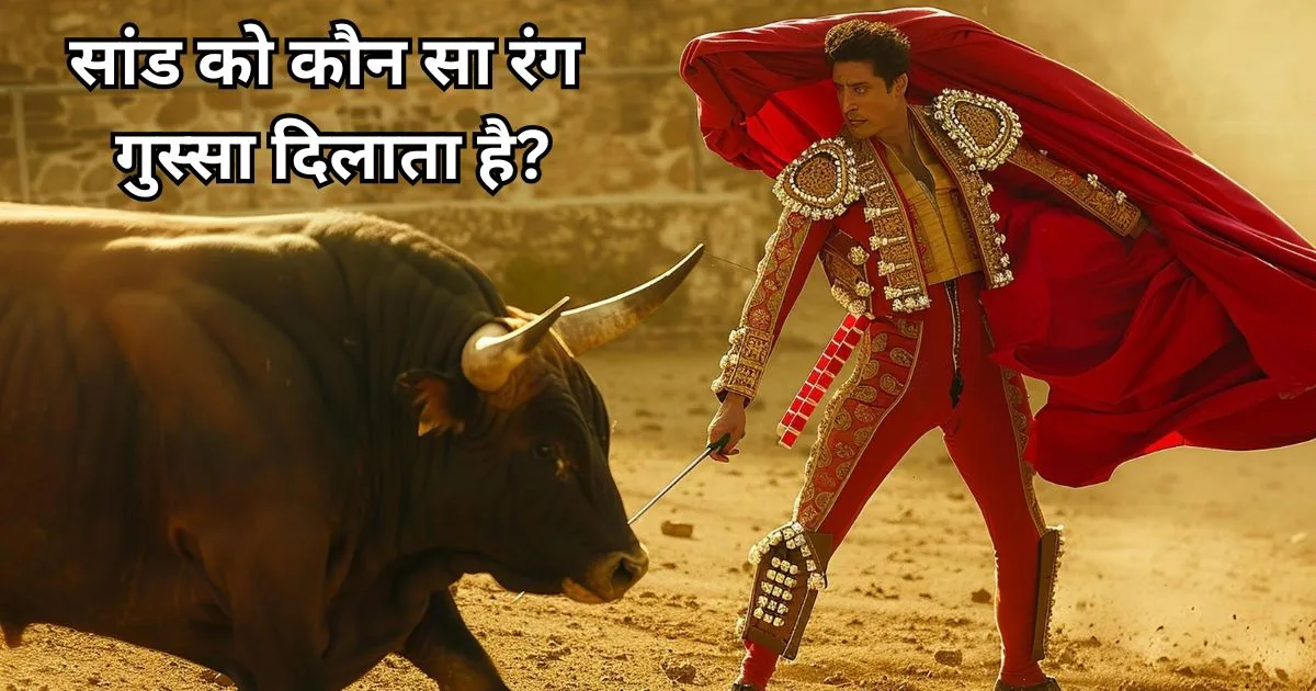 सांड को कौन सा रंग